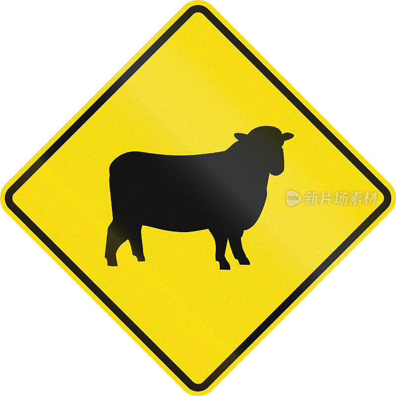 新西兰路标-注意羊
