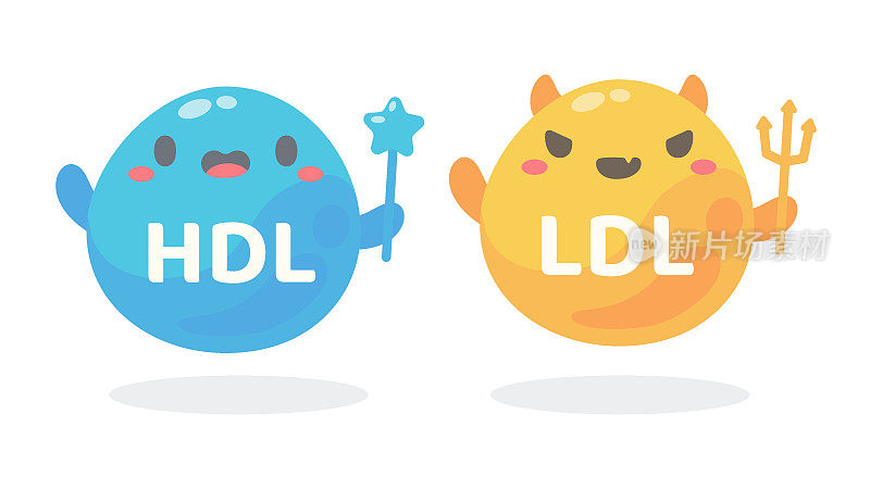 HDL和LDL胆固醇的图解。好的脂肪和坏的脂肪在体内积累。