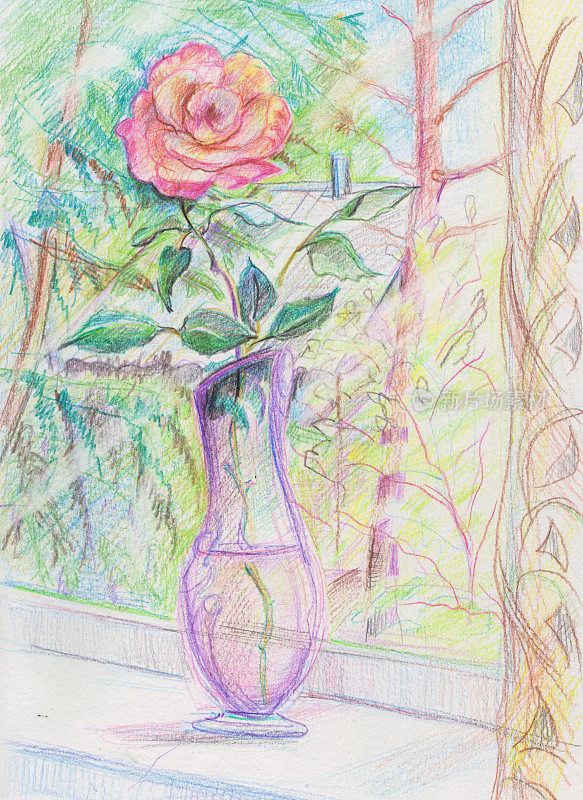 窗台上花瓶里的玫瑰