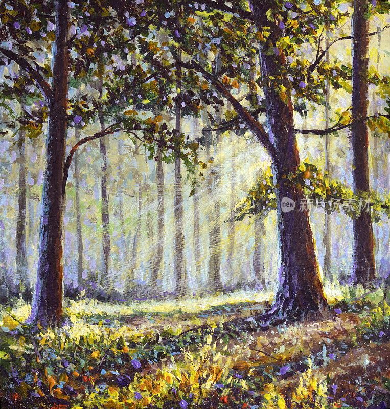 概念艺术插画的阳光风景在梦幻的色彩显示森林与太阳后面的树投美丽的光线通过雾的飘散
