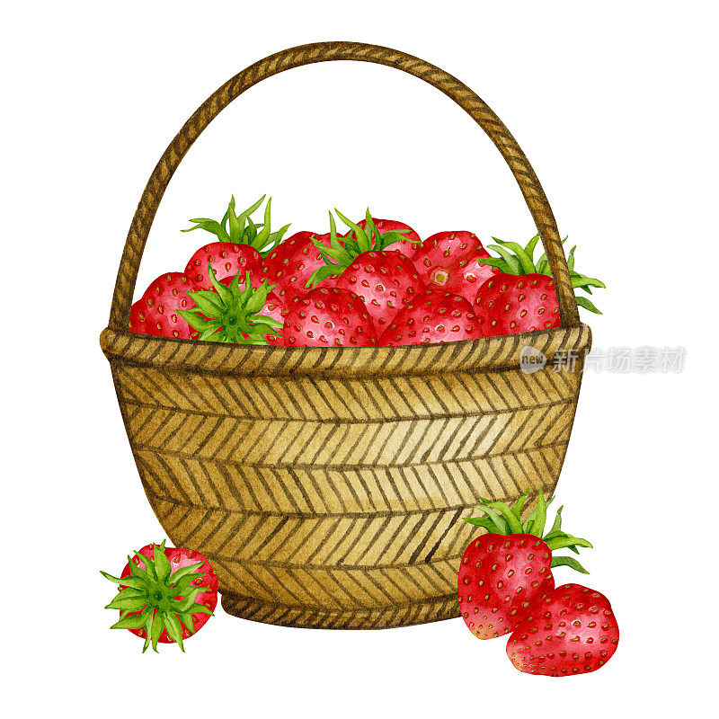 草莓篮子。水彩作品。现实的剪贴画包装，明信片，菜单，标志，织物印花和更多。