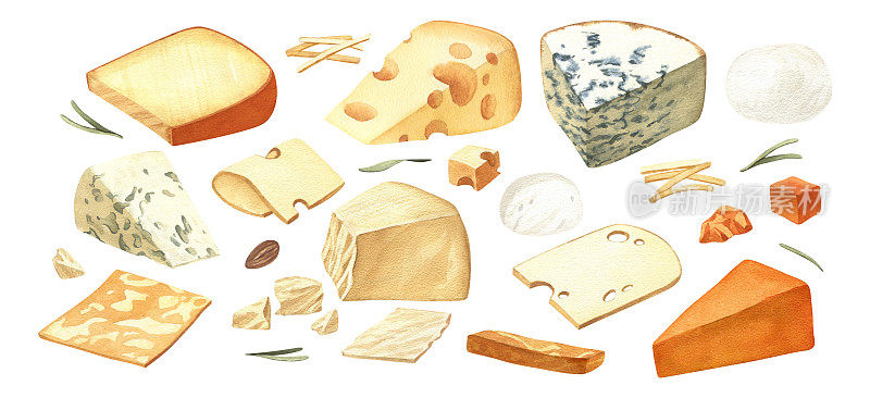 水彩画各种奶酪切块，牛奶乳制品。美味的食物手绘插图孤立的白色背景。适合菜单，食谱，标签，包装设计。