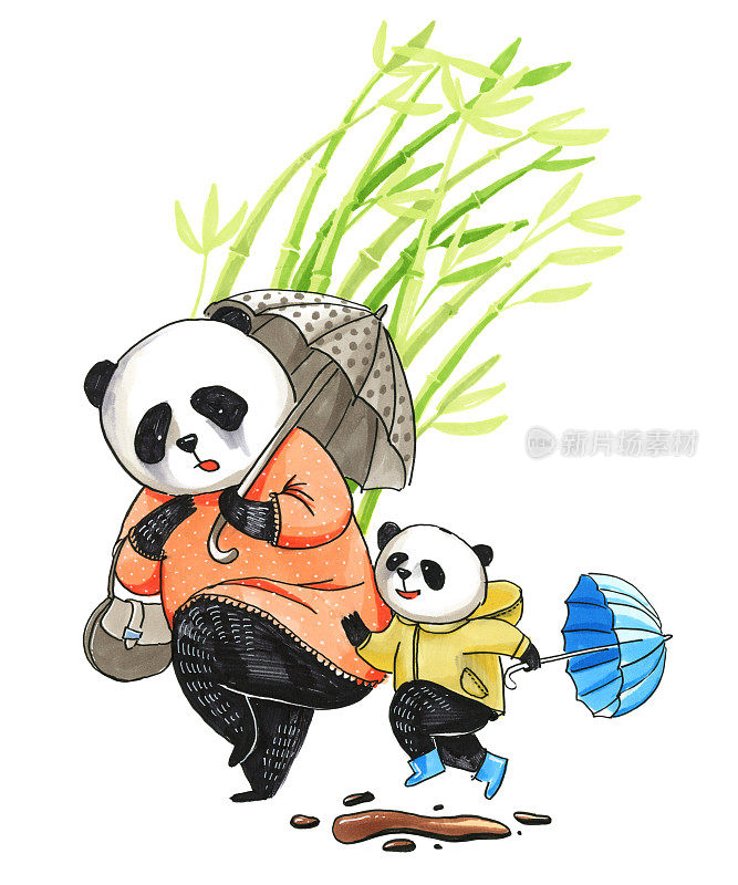水彩插图。熊猫妈妈穿着粉红色的衣服和他的小熊猫在一起散步，他的小熊猫正在水坑里跳