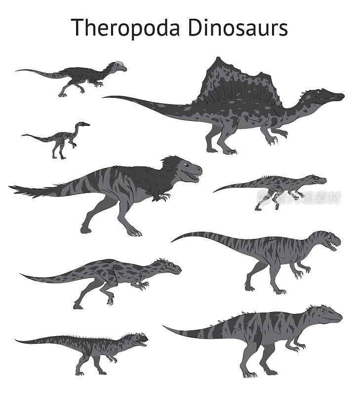 恐龙恐龙骨架