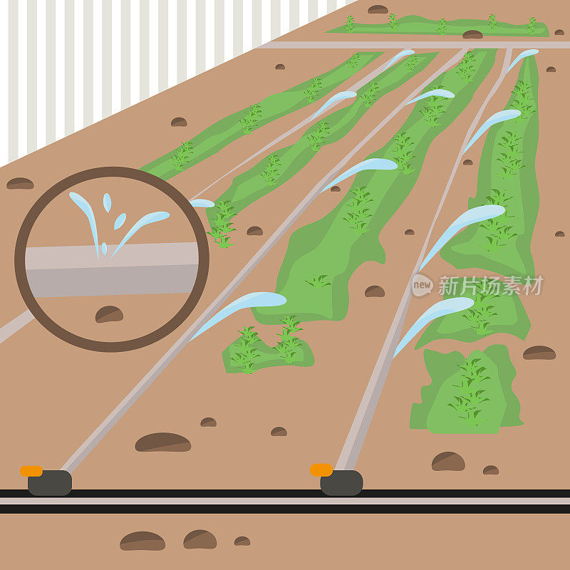 软管，滴灌，水。在菜园或蔬菜园里浇水。在农业中开展实地工作的概念。土壤改良。向量