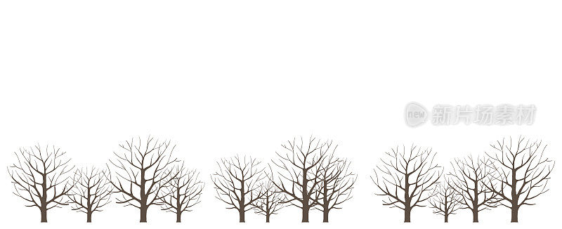 冬天干燥森林中的树木。没有叶子。水平的景观。矢量插图。副本的空间。