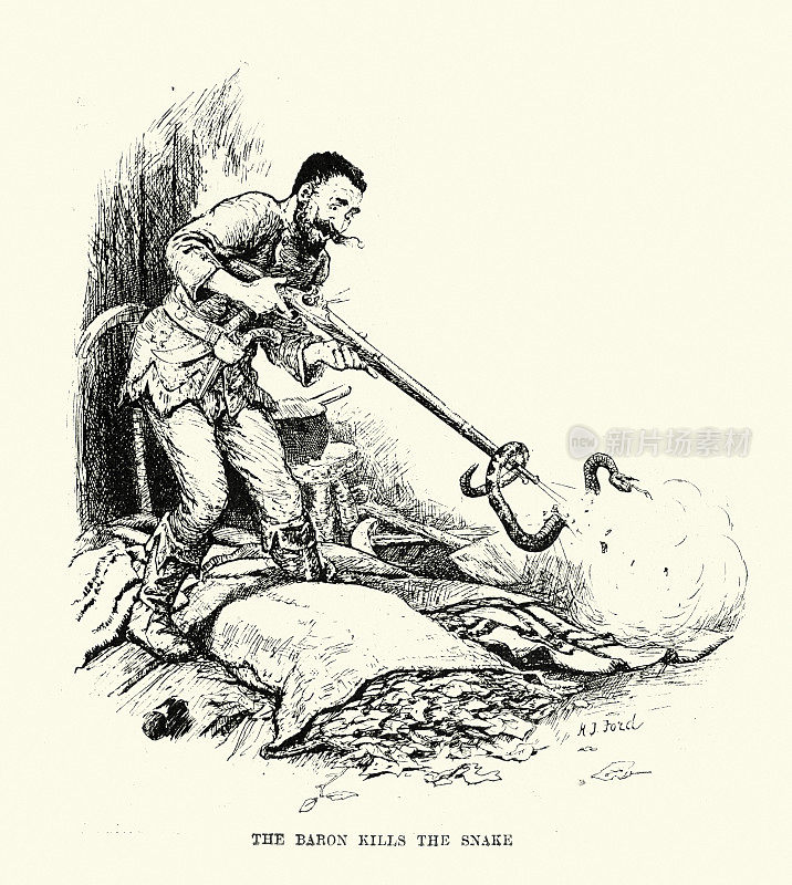 维多利亚时代的探险家射杀了一条毒蛇，危险的动物