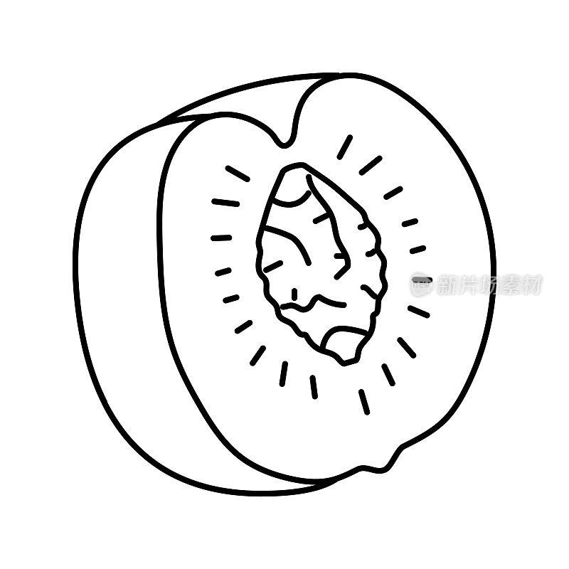 成熟的桃子切坑线图标矢量插图