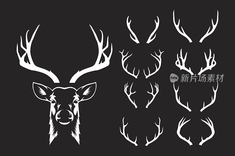 矢量驯鹿角，鹿角。鹿角剪影。手绘鹿角，鹿角集。动物鹿角收藏。鹿的设计元素。野生动物猎人，潮人，圣诞和新年的概念