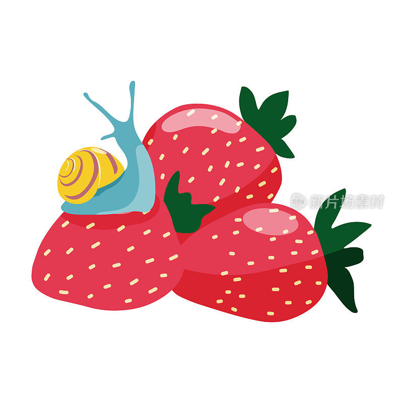 五颜六色的矢量设计手绘蜗牛坐在草莓上。