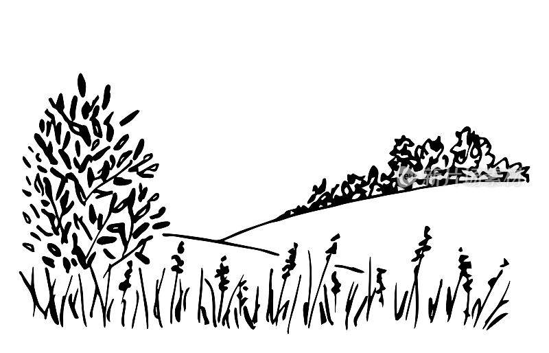 简单的黑色轮廓矢量绘图。夏日山水，大自然。地平线上的山丘和树木。灌木、草地和植被。用墨水写生。
