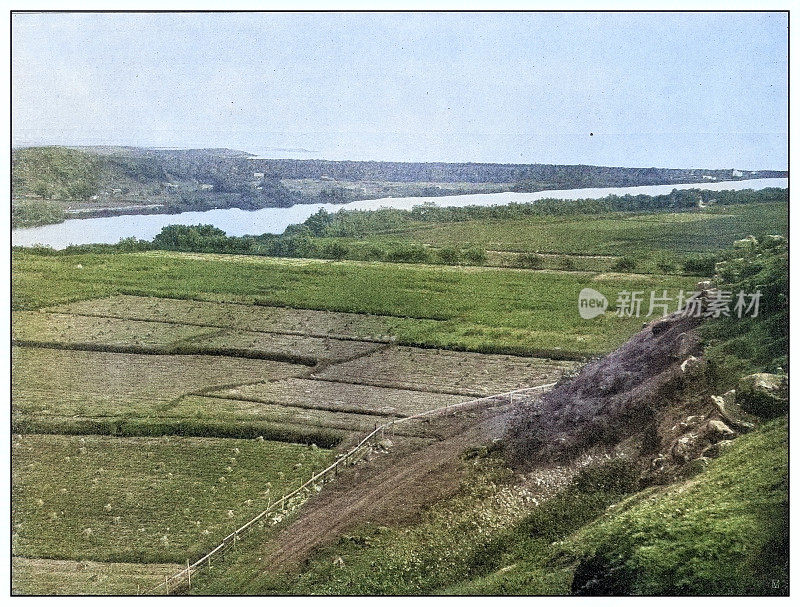 古董黑白照片:夏威夷毛伊岛