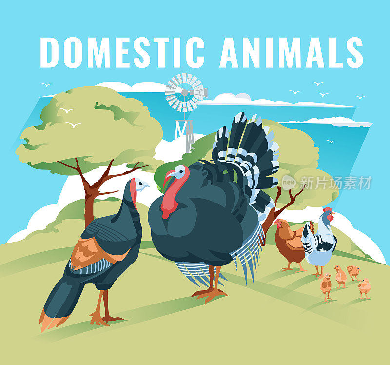 火鸡和鸡一家在绿色的草地上，背景是树木和蓝天。矢量平面插图。农业、农业和养牛业