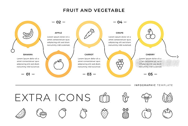 水果和蔬菜线图标和信息图表模板