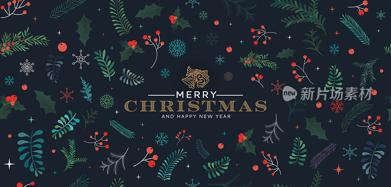 冬天的背景与浆果枝。圣诞插图。