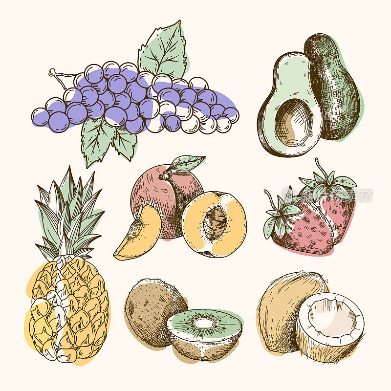 一套彩色水果图标，如葡萄，鳄梨，桃子，草莓，椰子，猕猴桃，菠萝