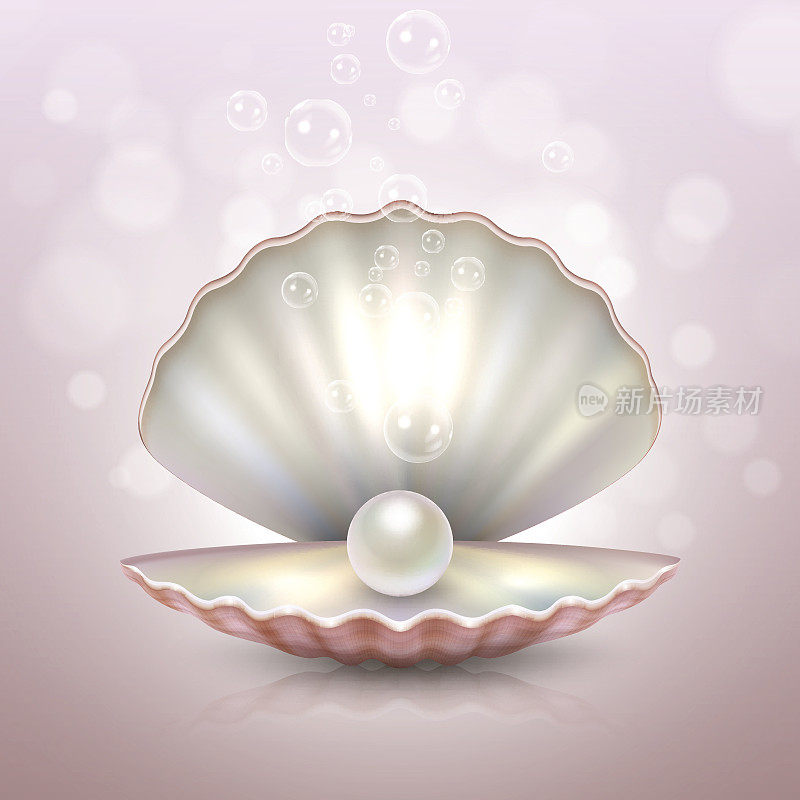 现实美丽的自然开放的海珍珠壳与反射特写在粉红色模糊的背景。设计模板，剪贴画，图标或模型在EPS10。股票向量