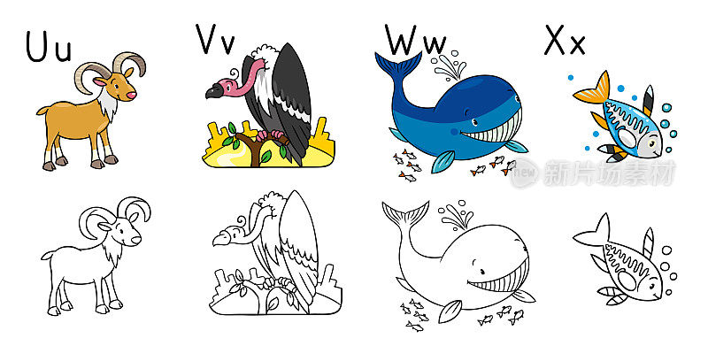 动物字母表或ABC。彩色书