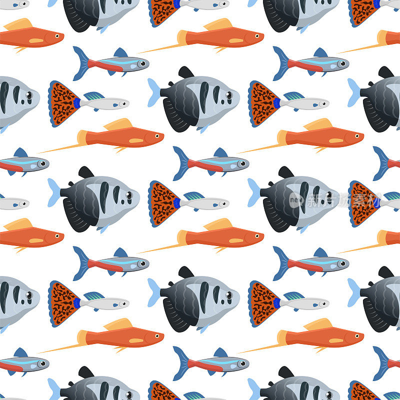异国情调的热带水族鱼无缝图案背景色水下海洋物种水生自然平面矢量插图