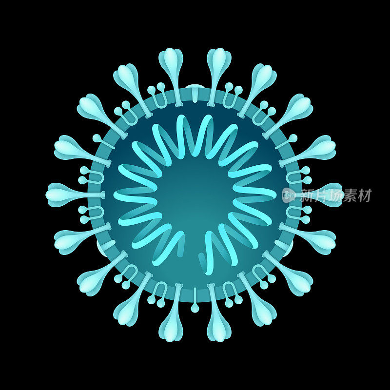 COVID-19冠状病毒横截面结构图