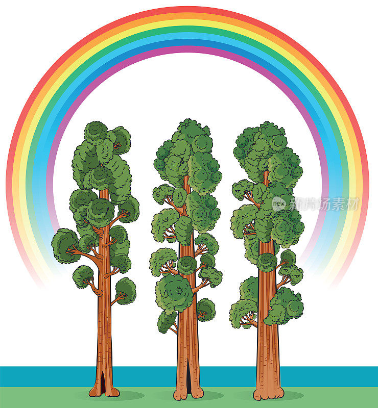 红杉和彩虹