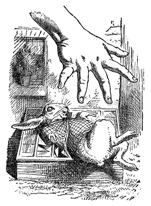 爱丽丝试图抓住白兔――《爱丽丝梦游仙境》1897年
