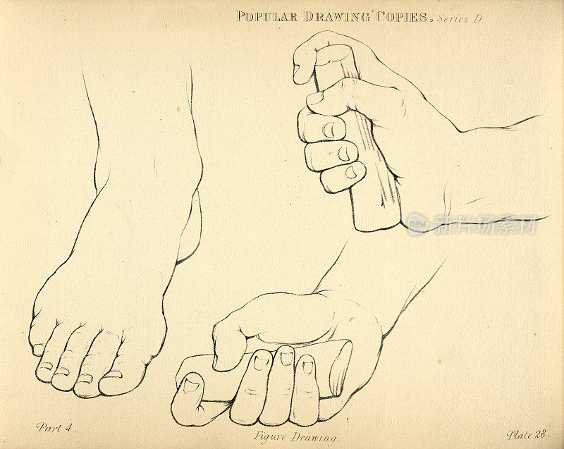 写生脚和手抓对象，维多利亚流行的人物画副本19世纪