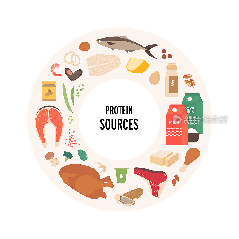 食物指南的概念。矢量平面现代插图。蛋白质来源食品板信息图圈框与标签。彩色食品和餐图标集肉类、海鲜、蔬菜和乳制品。