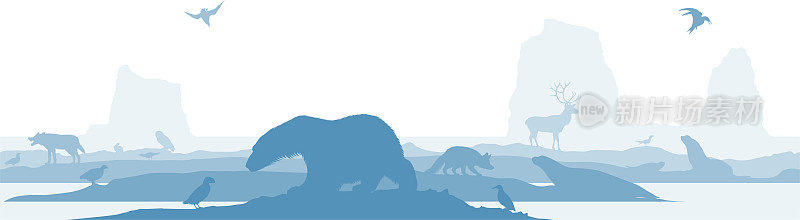 矢量无缝北极与动物:北极熊，北极狐，北美驯鹿，雪鸮，海豹，驯鹿，狼，海狮，普通海貂，角海鹦，海鸥和冰山