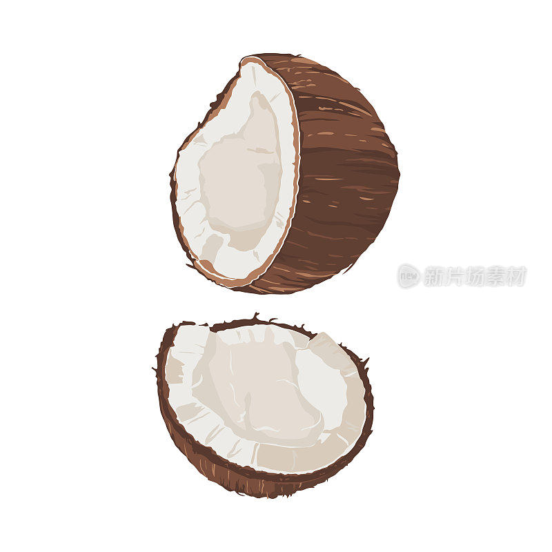 两个分离在白色背景上的碎椰子半块作为包装设计元素