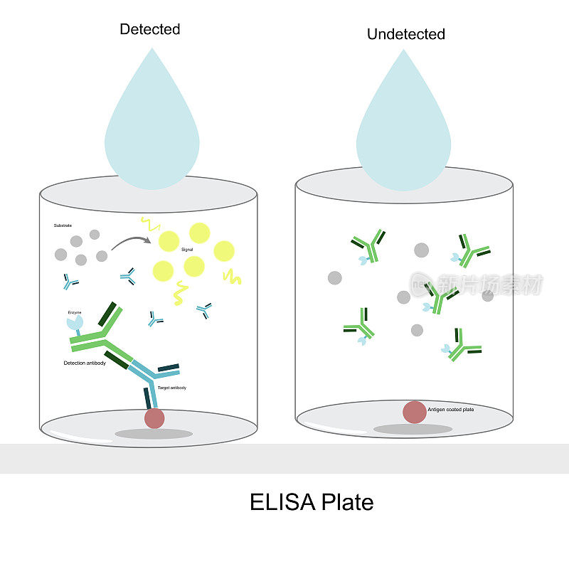 用间接ELISA技术解释抗体靶点的检测结果，当信号出现或不出现时，样品滴下并完成检测