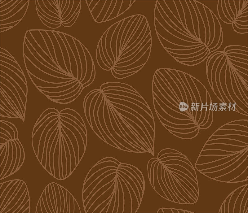 玉簪属草本植物叶子的模式。装饰艺术棕色装饰背景。室内装饰设计。