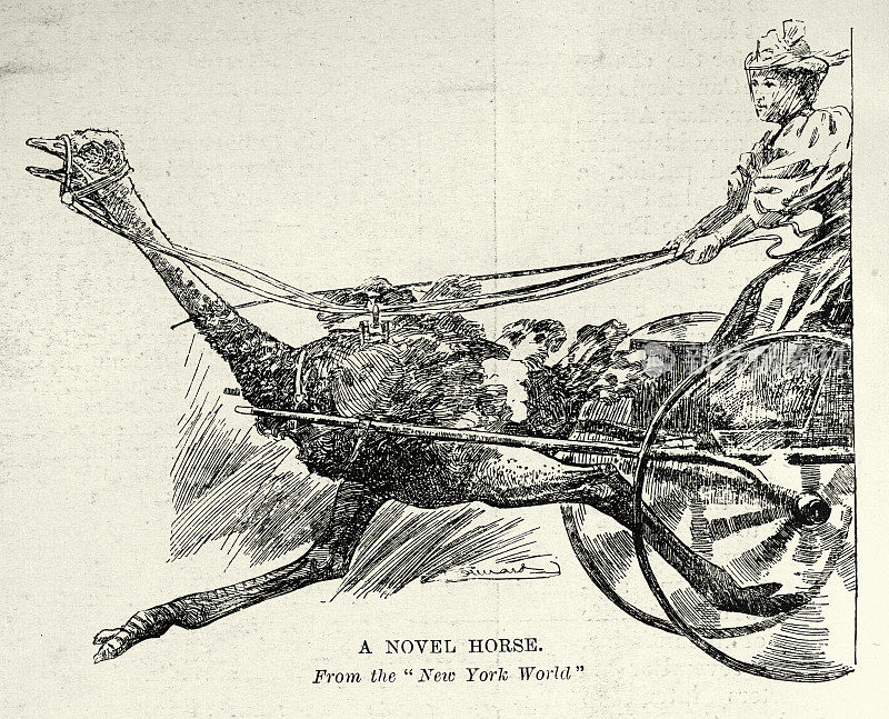 奇怪的维多利亚式交通工具，鸵鸟动力马车，19世纪90年代