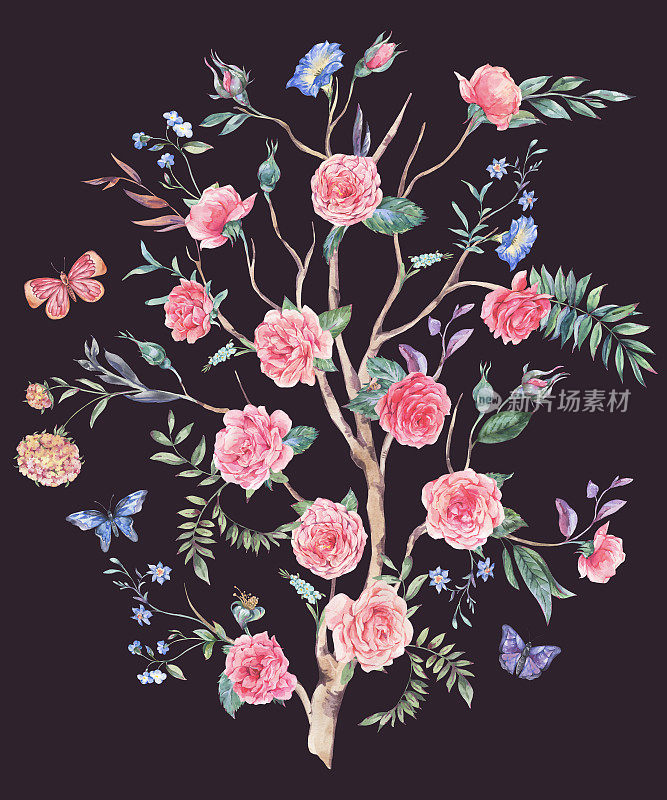 水彩画花园玫瑰花束，盛开的树，中国风插画孤立在黑色
