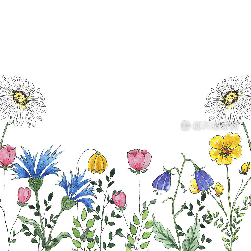 水彩框架与野花，手绘植物风格的节日和婚礼卡片。红色、黄色和蓝色花朵的边界孤立在白色背景上。鲜花和绿色植物的芬芳