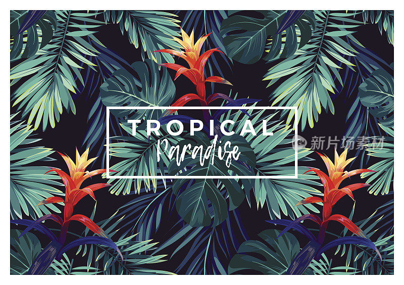 花水平明信片设计与古兹曼花，怪兽和皇家棕榈叶。奇异夏威夷矢量背景