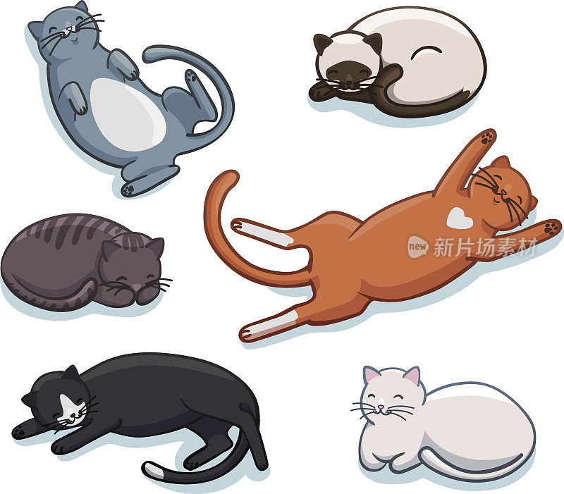 向量组可爱的睡觉的猫。不同姿势和颜色的有趣卡通猫咪
