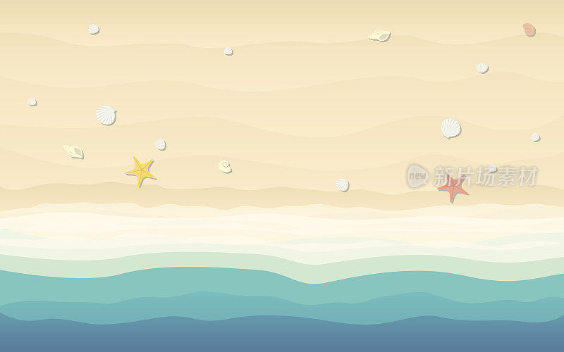 海滩上的贝壳和海星俯视图