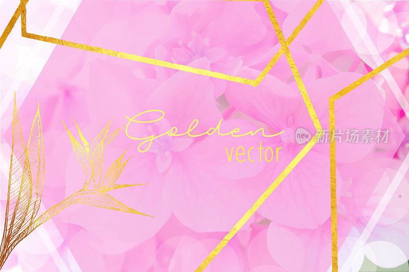 粉红色绣球花与黄金线，抽象的背景。金色闪亮的Grunge纹理。金属金色纹理设计元素贺卡和标签，抽象背景。