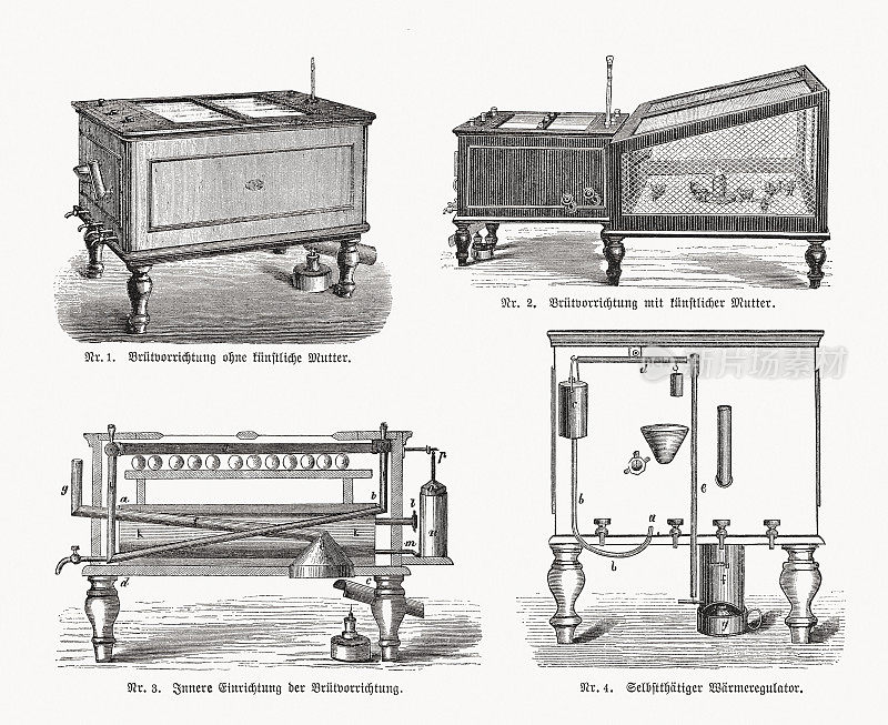 养鸡孵化器，木刻，1893年出版