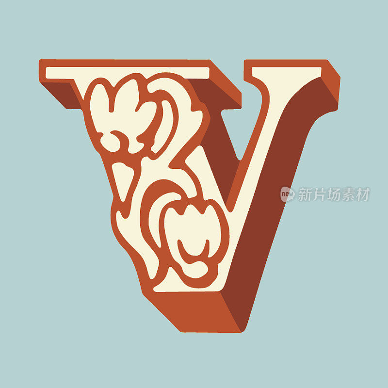 字母V