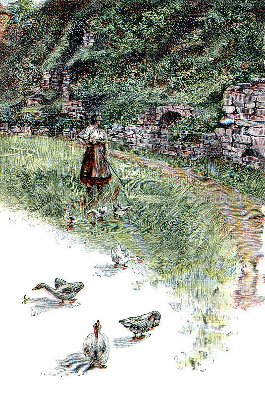 1896年农场的养鸭妇女