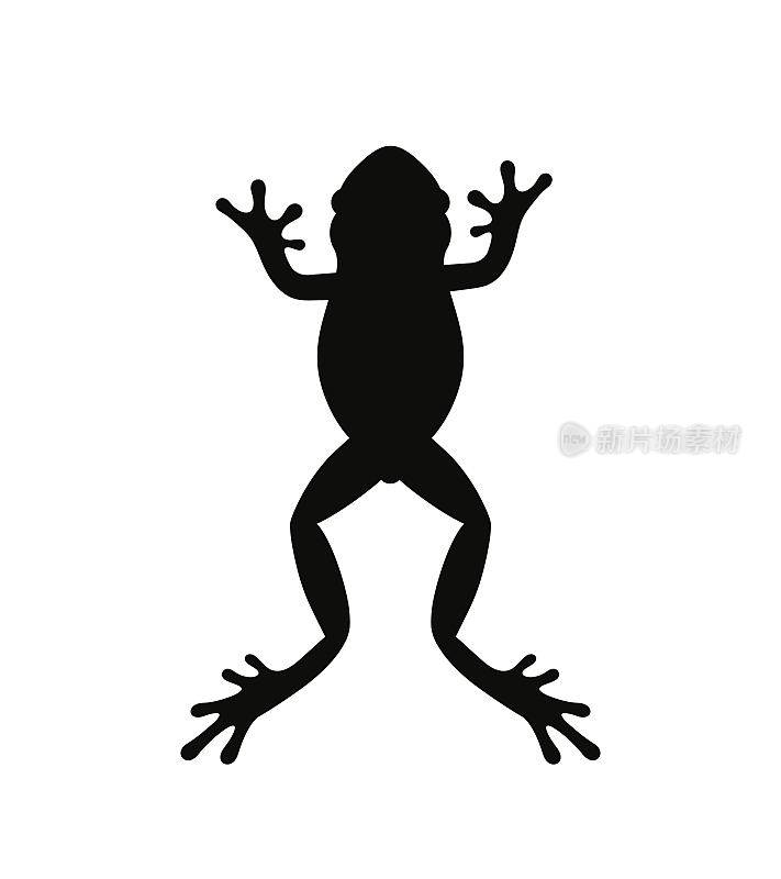 青蛙的剪影。抽象青蛙在白色背景