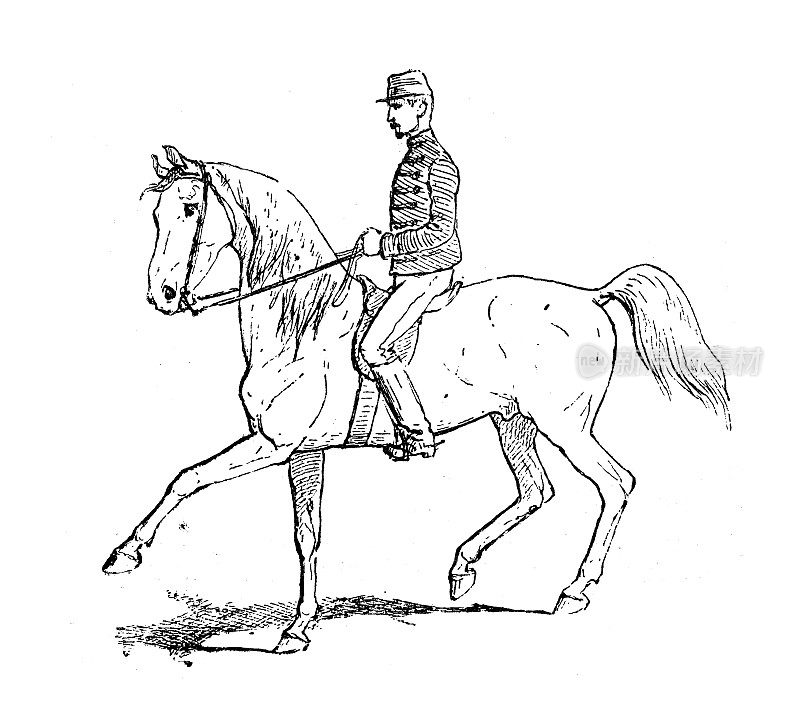 古董插画:Passade(骑马)