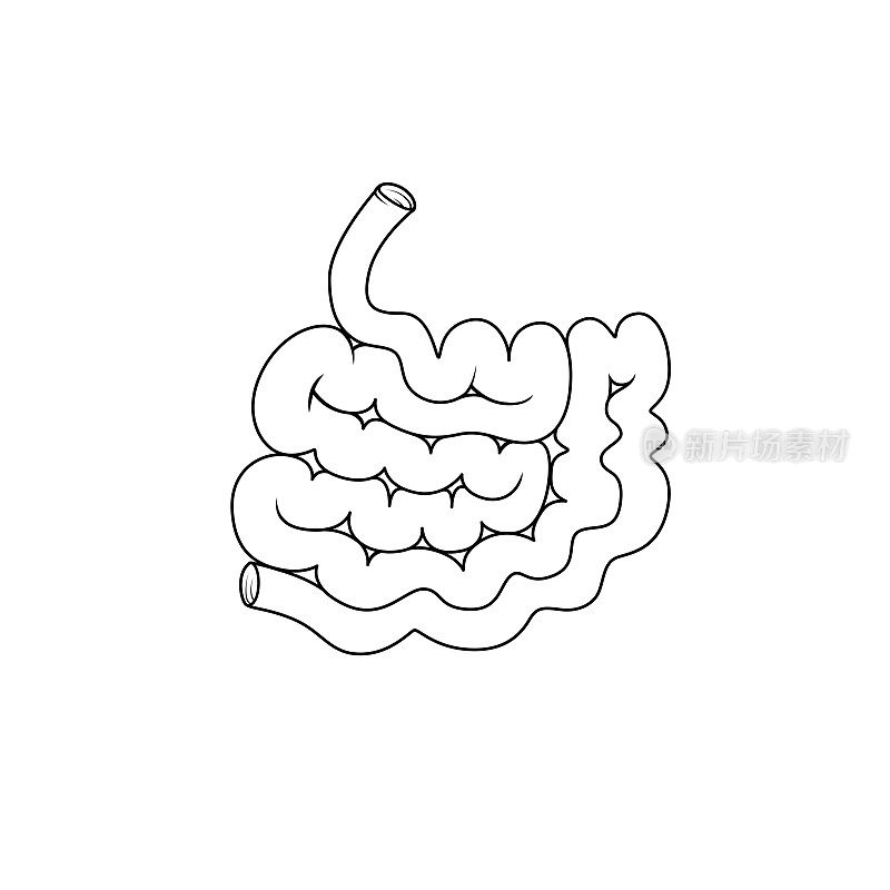 黑色和白色矢量插图的儿童活动涂色书页与图片的内脏器官小肠。