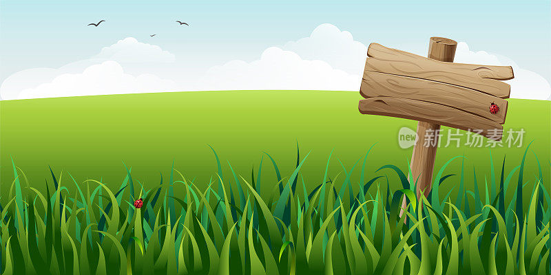 木制标志在草地上的场向量插图。水平绿色的夏季景观与招牌，云朵和飞鸟。农村田园景象。春天草地背景上的路标。自然旗帜。