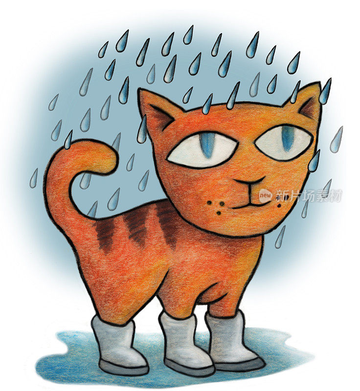 在雨中穿着雨靴的可爱猫咪