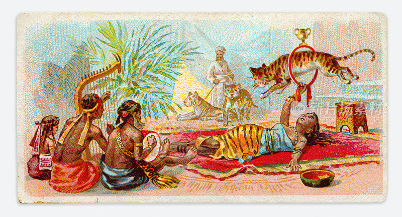 1899年印度新艺术插画中与老虎为伴的表演者