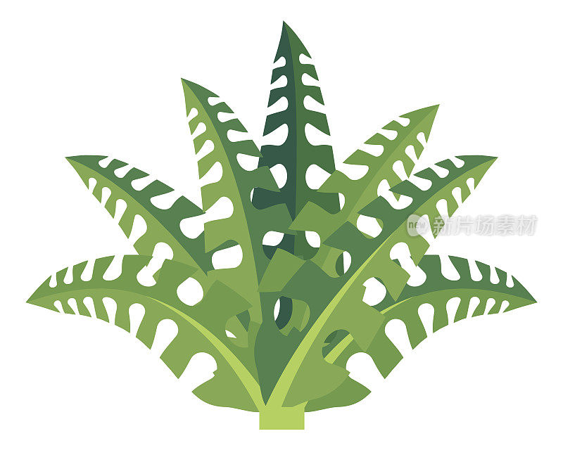 卡通蕨类植物。绿色古森林天然植物