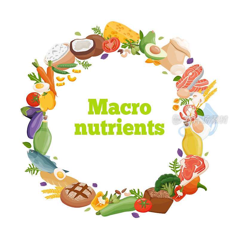 健康的营养素。食物中含有纤维、蛋白质、脂肪和碳水化合物。营养类别矢量图。均衡的营养。健康食品。